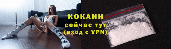 спиды Богородицк