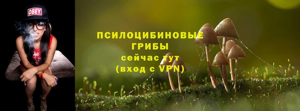ешки Бородино