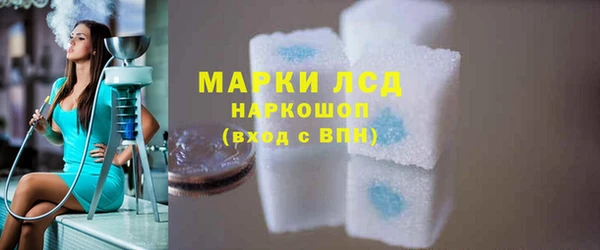 спиды Богородицк