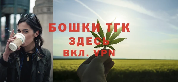 ешки Бородино