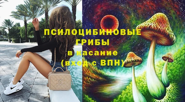 сатива Бронницы