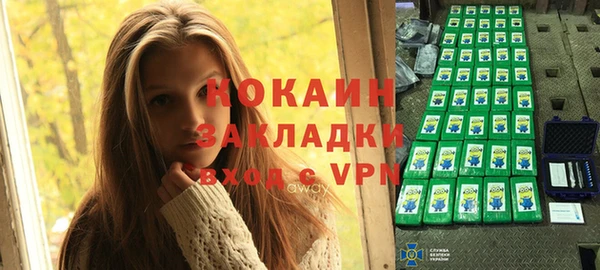 спиды Богородицк