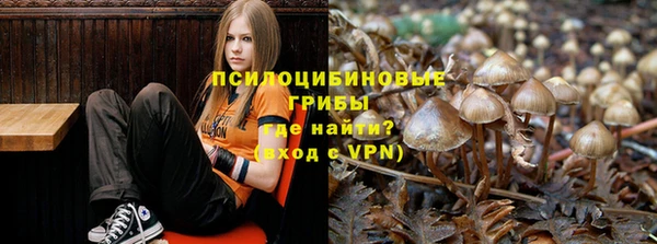 СК Волоколамск