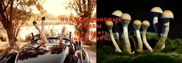 ешки Бородино