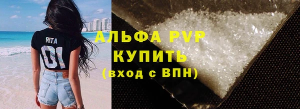 ешки Бородино