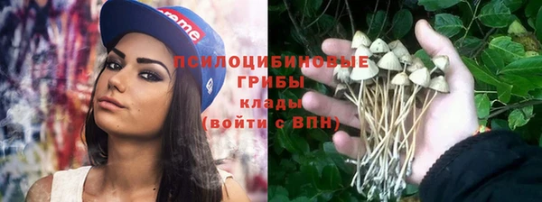 ешки Бородино