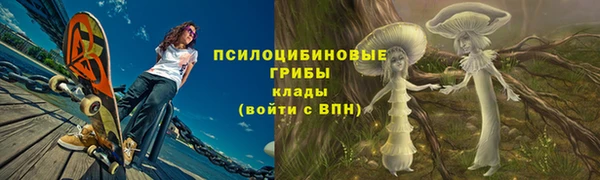 сатива Беломорск