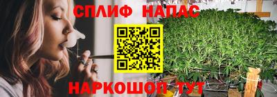 мяу мяу мука Бийск