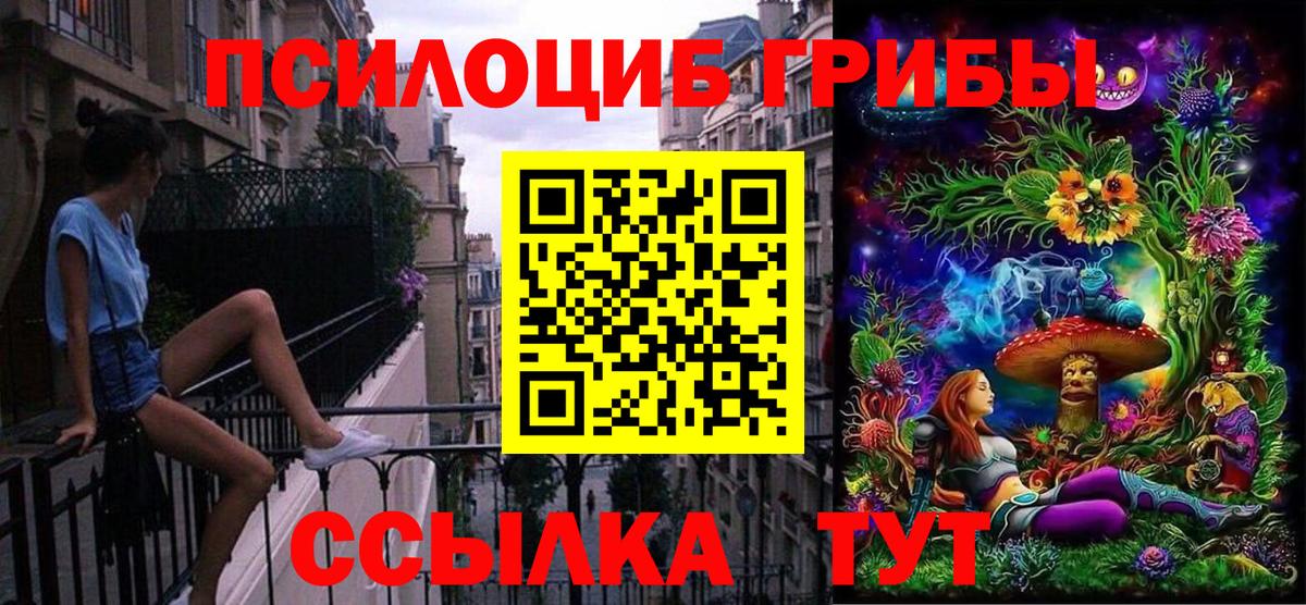 Псилоцибиновые грибы мицелий  Вход с VPN  Галлюциногенные грибы мицелий  Гулькевичи 