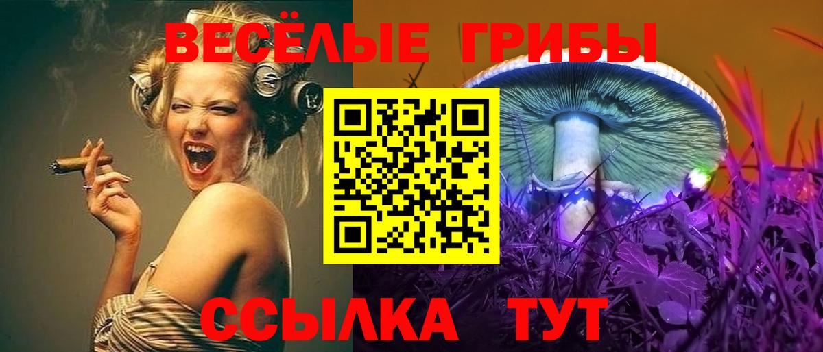 Псилоцибиновые грибы ЛСД Гулькевичи
